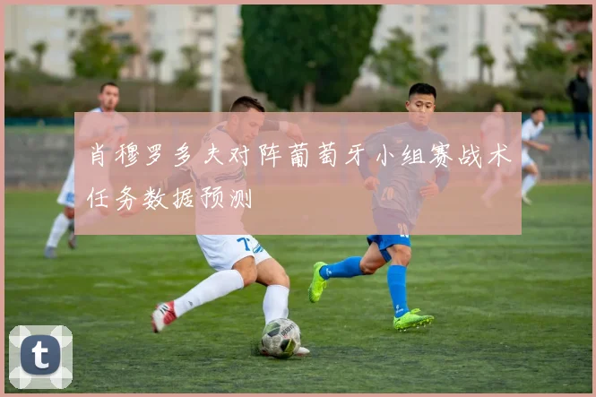 肖穆罗多夫对阵葡萄牙小组赛战术任务数据预测