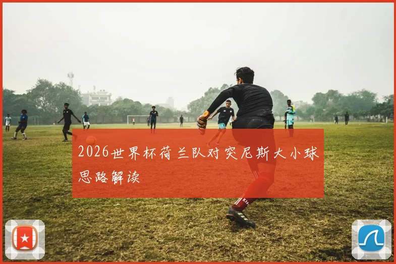 2026世界杯荷兰队对突尼斯大小球思路解读