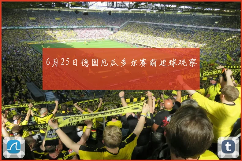 6月25日德国厄瓜多尔赛前进球观察