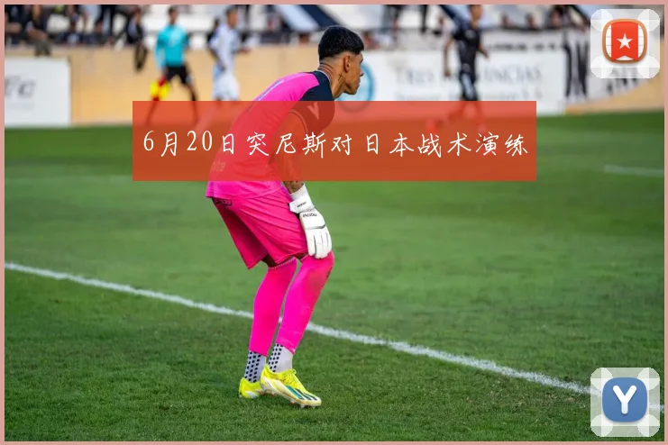6月20日突尼斯对日本战术演练