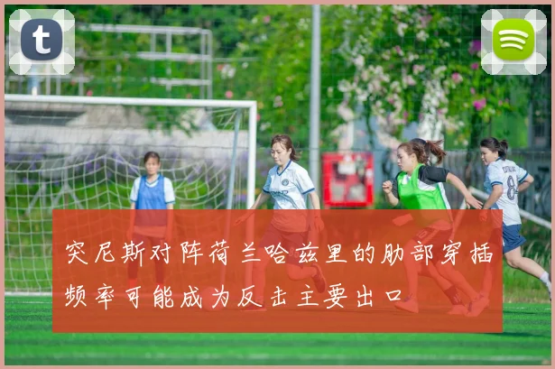 突尼斯对阵荷兰哈兹里的肋部穿插频率可能成为反击主要出口